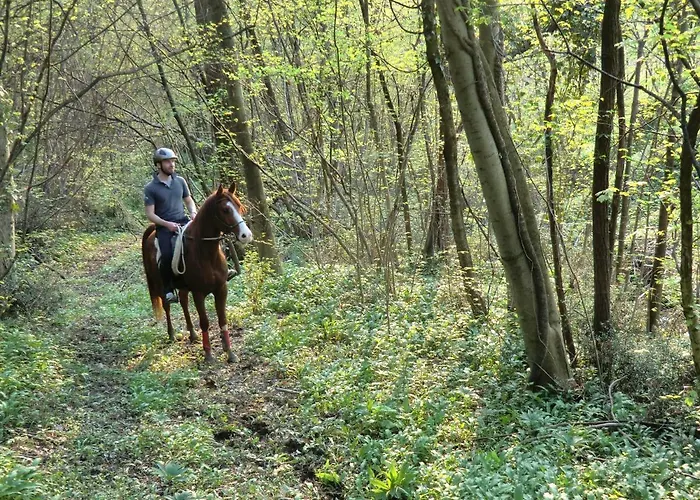 Ca Borgh 팜스테이