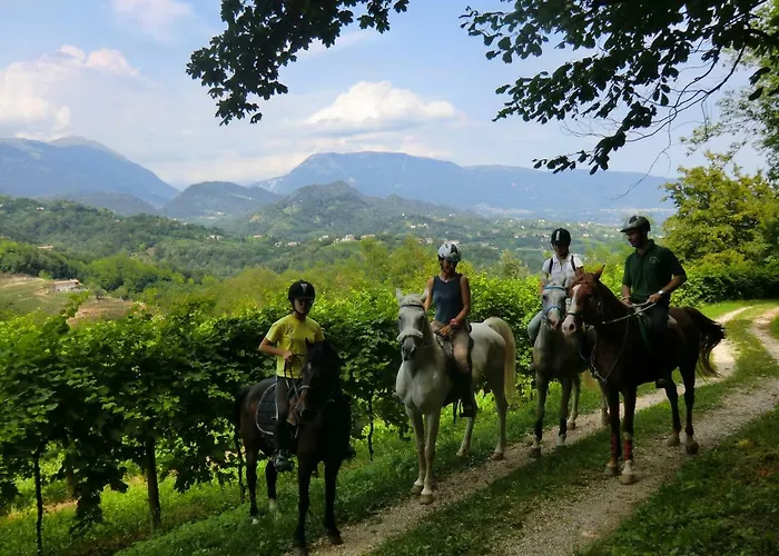 팜스테이 Ca Borgh Santa Maria di Feletto